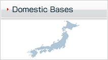 JAPANESE DOMESTIC BASES