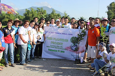 Tree planting activity