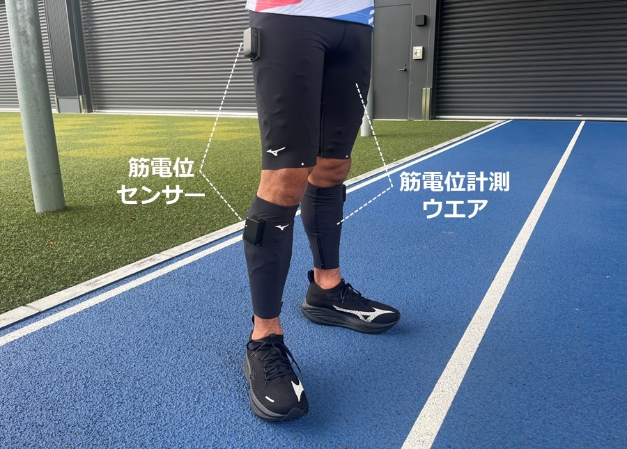 筋電位計測ウェア