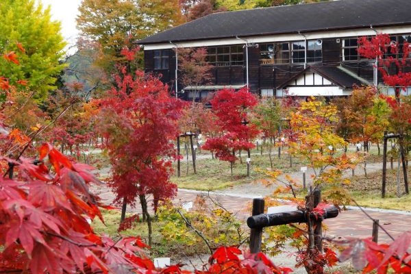 カエデの郷ひらら